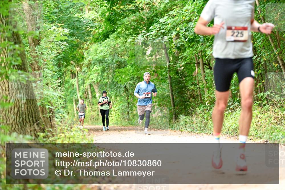 11.10.2026 - Bramfelder Halbmarathon 2026 Dr. Thomas Lammeyer http://msf.ph/oto/10830860 11.10.2026 11:14:37 Laufen 238, 225 meine-sportfotos.de