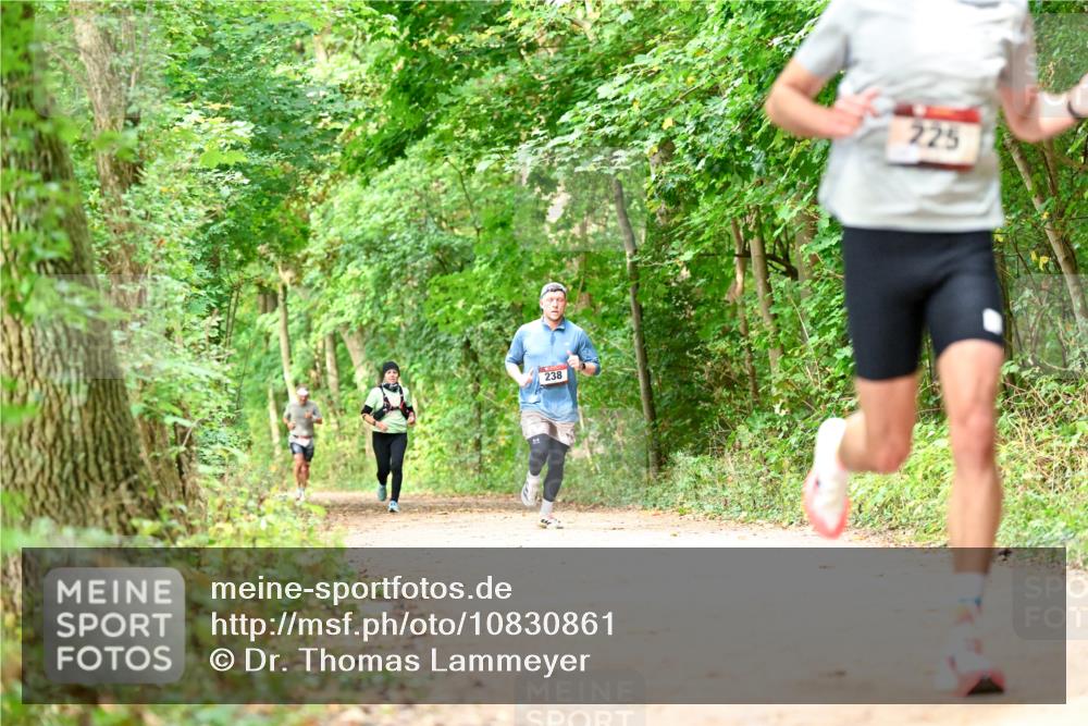 11.10.2026 - Bramfelder Halbmarathon 2026 Dr. Thomas Lammeyer http://msf.ph/oto/10830861 11.10.2026 11:14:37 Laufen 238, 225 meine-sportfotos.de
