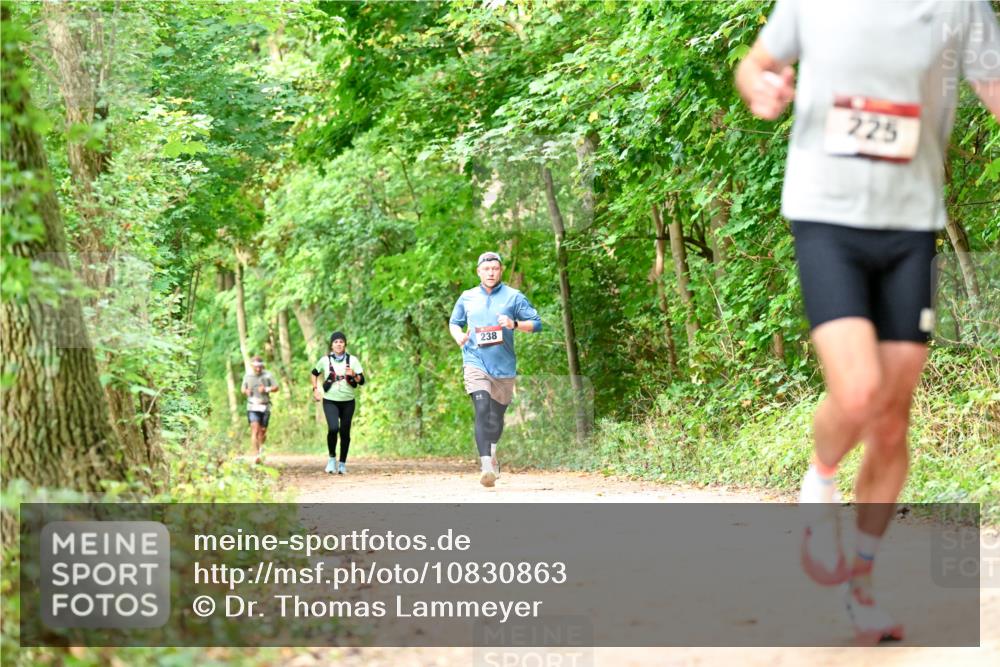 11.10.2026 - Bramfelder Halbmarathon 2026 Dr. Thomas Lammeyer http://msf.ph/oto/10830863 11.10.2026 11:14:38 Laufen 238, 225 meine-sportfotos.de