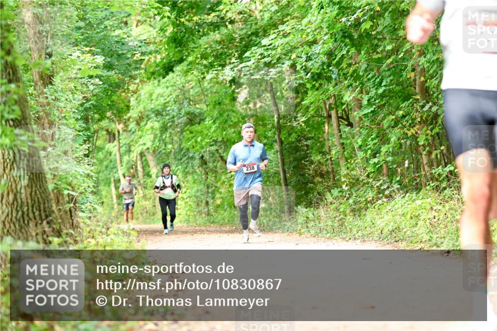 11.10.2026 - Bramfelder Halbmarathon 2026 Dr. Thomas Lammeyer http://msf.ph/oto/10830867 11.10.2026 11:14:38 Laufen 238 meine-sportfotos.de