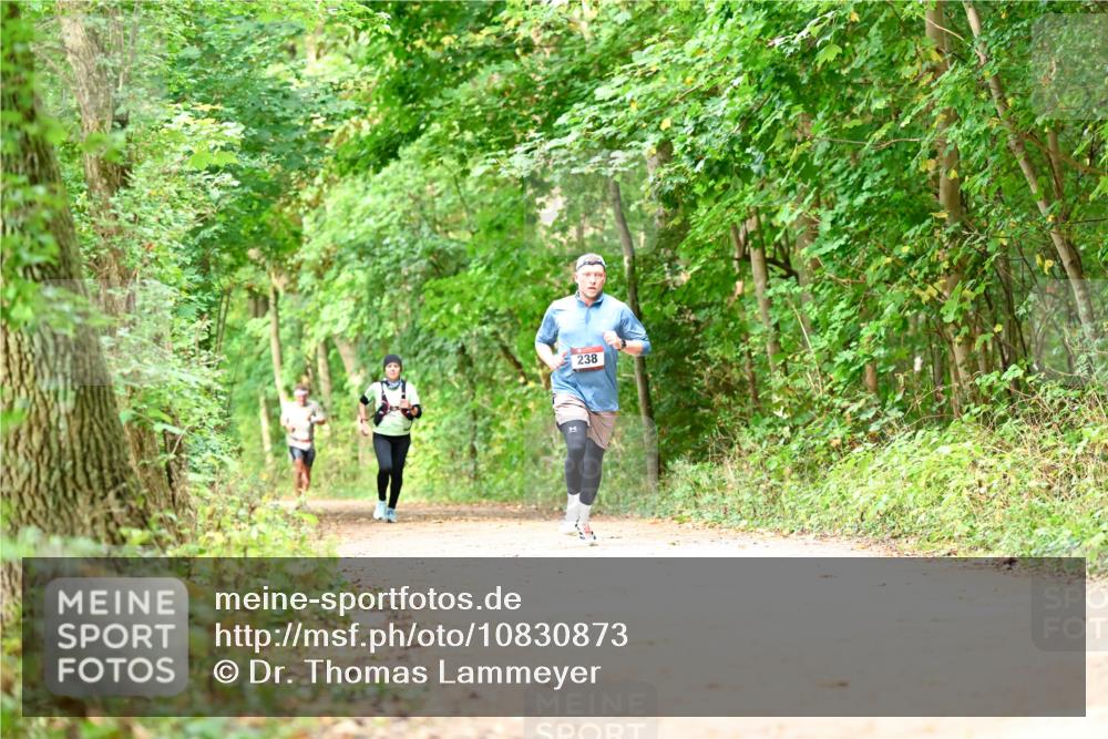 11.10.2026 - Bramfelder Halbmarathon 2026 Dr. Thomas Lammeyer http://msf.ph/oto/10830873 11.10.2026 11:14:38 Laufen 238 meine-sportfotos.de