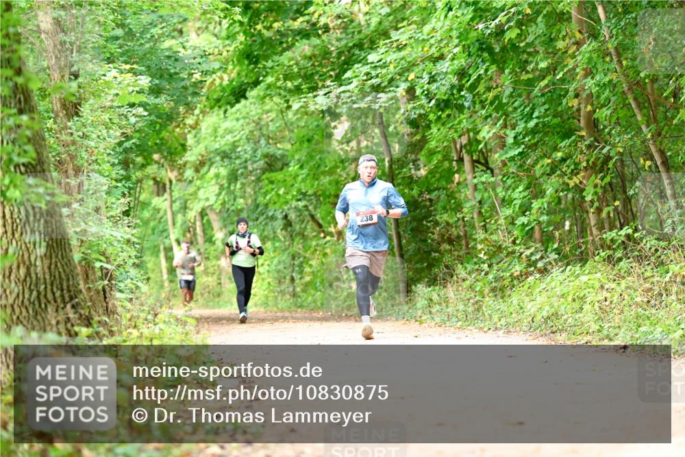 11.10.2026 - Bramfelder Halbmarathon 2026 Dr. Thomas Lammeyer http://msf.ph/oto/10830875 11.10.2026 11:14:38 Laufen 238 meine-sportfotos.de