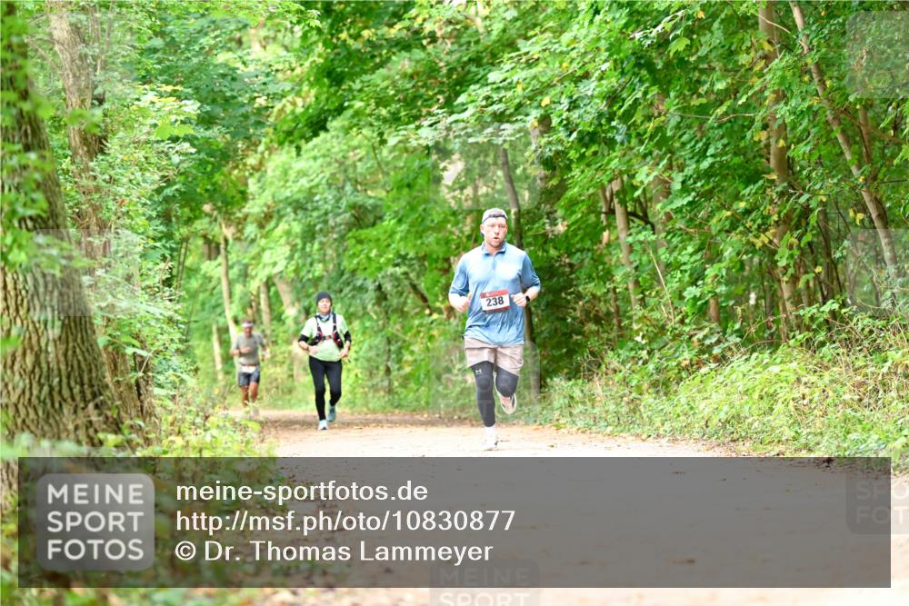 11.10.2026 - Bramfelder Halbmarathon 2026 Dr. Thomas Lammeyer http://msf.ph/oto/10830877 11.10.2026 11:14:38 Laufen 238 meine-sportfotos.de