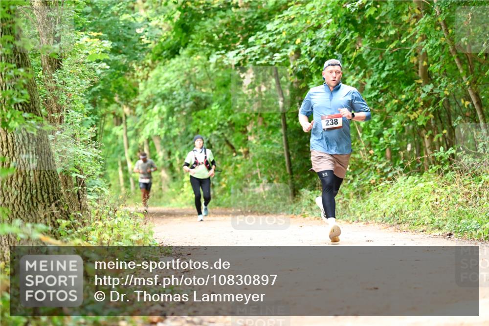 11.10.2026 - Bramfelder Halbmarathon 2026 Dr. Thomas Lammeyer http://msf.ph/oto/10830897 11.10.2026 11:14:40 Laufen 238 meine-sportfotos.de