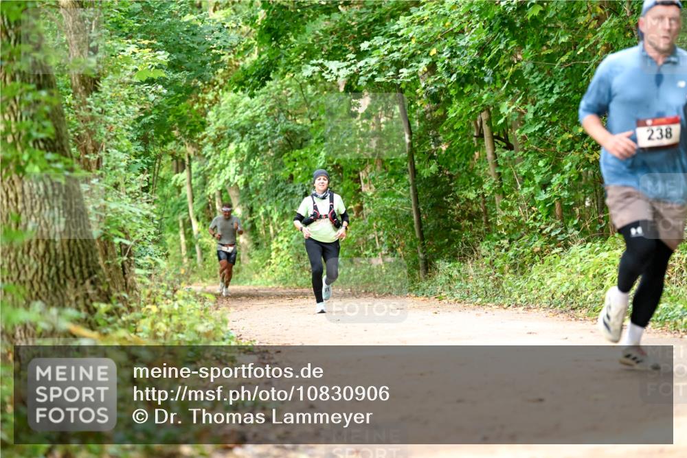 11.10.2026 - Bramfelder Halbmarathon 2026 Dr. Thomas Lammeyer http://msf.ph/oto/10830906 11.10.2026 11:14:41 Laufen 238 meine-sportfotos.de