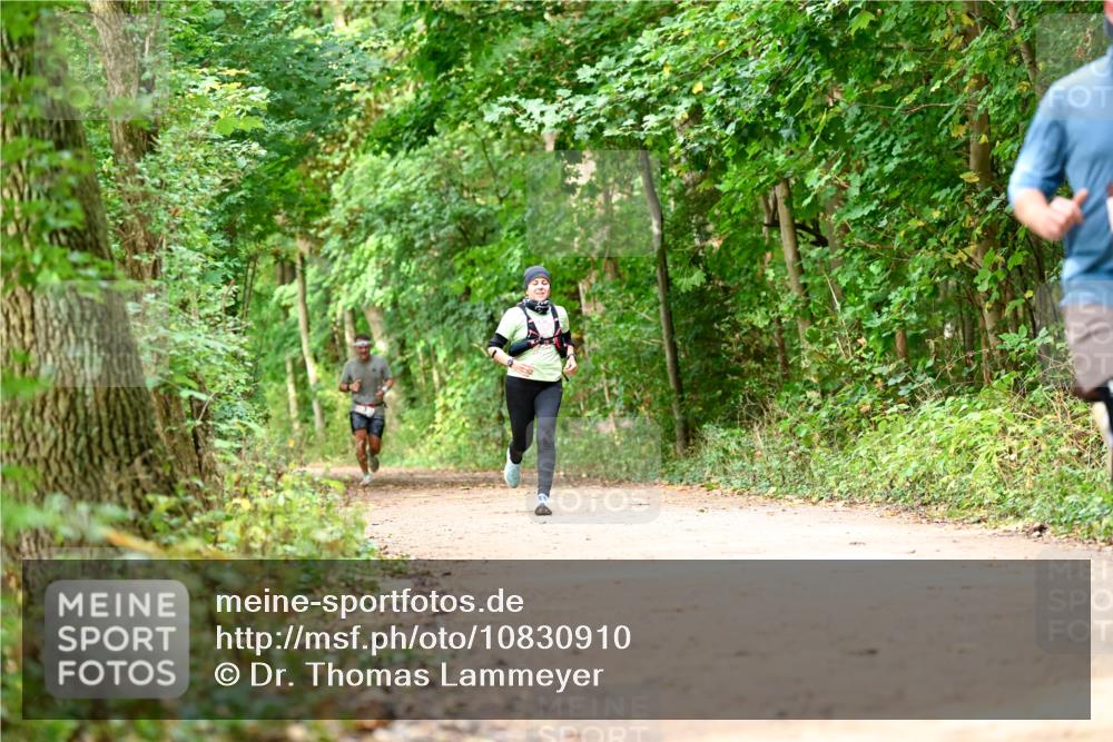 11.10.2026 - Bramfelder Halbmarathon 2026 Dr. Thomas Lammeyer http://msf.ph/oto/10830910 11.10.2026 11:14:41 Laufen  meine-sportfotos.de