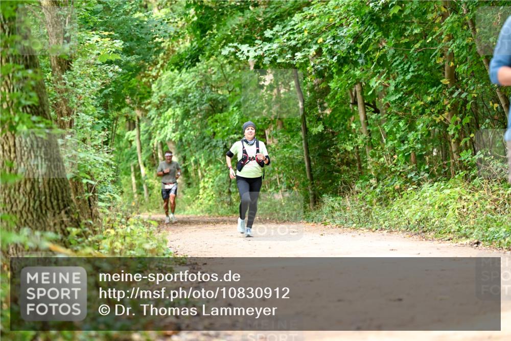 11.10.2026 - Bramfelder Halbmarathon 2026 Dr. Thomas Lammeyer http://msf.ph/oto/10830912 11.10.2026 11:14:42 Laufen  meine-sportfotos.de