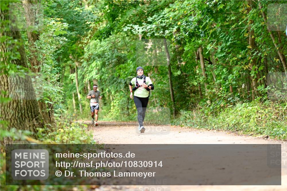 11.10.2026 - Bramfelder Halbmarathon 2026 Dr. Thomas Lammeyer http://msf.ph/oto/10830914 11.10.2026 11:14:42 Laufen  meine-sportfotos.de