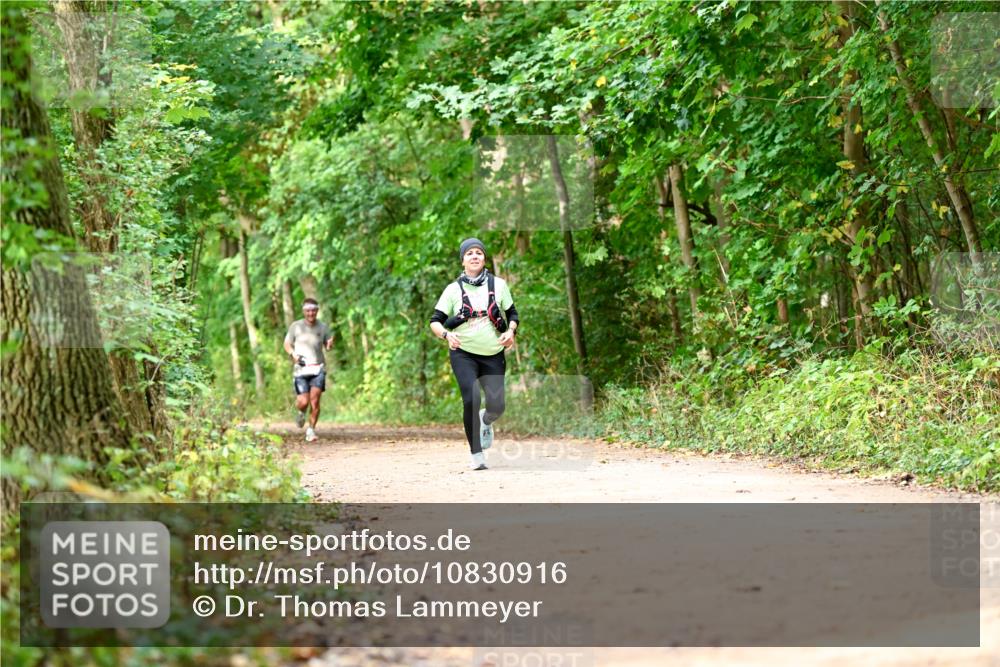 11.10.2026 - Bramfelder Halbmarathon 2026 Dr. Thomas Lammeyer http://msf.ph/oto/10830916 11.10.2026 11:14:42 Laufen  meine-sportfotos.de