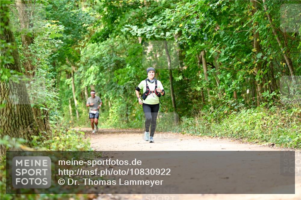 11.10.2026 - Bramfelder Halbmarathon 2026 Dr. Thomas Lammeyer http://msf.ph/oto/10830922 11.10.2026 11:14:42 Laufen  meine-sportfotos.de