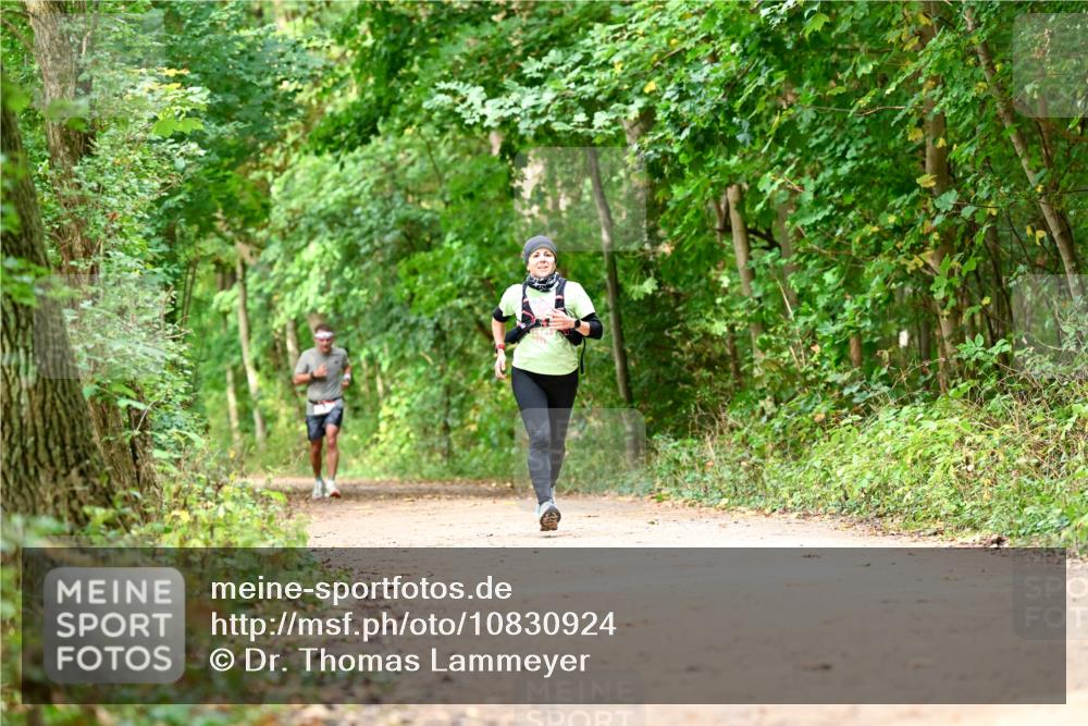 11.10.2026 - Bramfelder Halbmarathon 2026 Dr. Thomas Lammeyer http://msf.ph/oto/10830924 11.10.2026 11:14:42 Laufen  meine-sportfotos.de