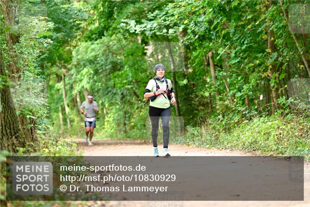 11.10.2026 - Bramfelder Halbmarathon 2026 Dr. Thomas Lammeyer http://msf.ph/oto/10830929 11.10.2026 11:14:43 Laufen  meine-sportfotos.de