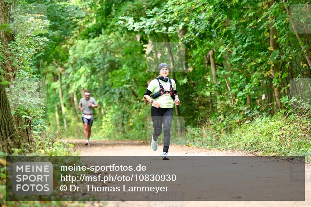 11.10.2026 - Bramfelder Halbmarathon 2026 Dr. Thomas Lammeyer http://msf.ph/oto/10830930 11.10.2026 11:14:43 Laufen  meine-sportfotos.de