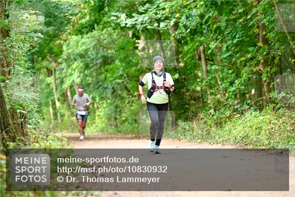 11.10.2026 - Bramfelder Halbmarathon 2026 Dr. Thomas Lammeyer http://msf.ph/oto/10830932 11.10.2026 11:14:43 Laufen  meine-sportfotos.de