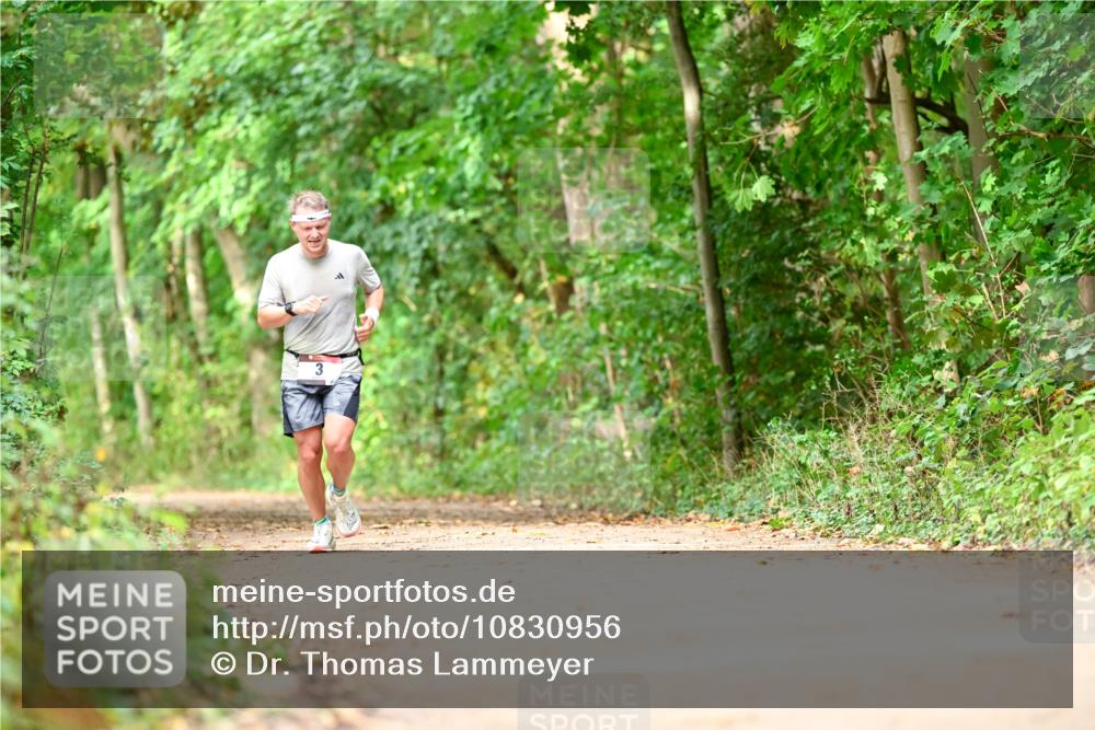 11.10.2026 - Bramfelder Halbmarathon 2026 Dr. Thomas Lammeyer http://msf.ph/oto/10830956 11.10.2026 11:14:45 Laufen 3 meine-sportfotos.de