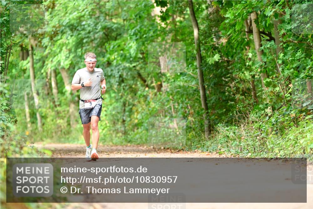 11.10.2026 - Bramfelder Halbmarathon 2026 Dr. Thomas Lammeyer http://msf.ph/oto/10830957 11.10.2026 11:14:45 Laufen  meine-sportfotos.de