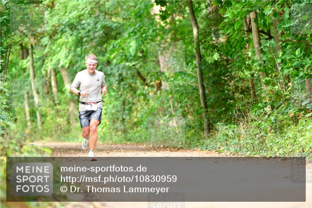 11.10.2026 - Bramfelder Halbmarathon 2026 Dr. Thomas Lammeyer http://msf.ph/oto/10830959 11.10.2026 11:14:46 Laufen  meine-sportfotos.de