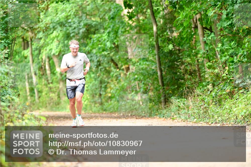 11.10.2026 - Bramfelder Halbmarathon 2026 Dr. Thomas Lammeyer http://msf.ph/oto/10830967 11.10.2026 11:14:46 Laufen  meine-sportfotos.de