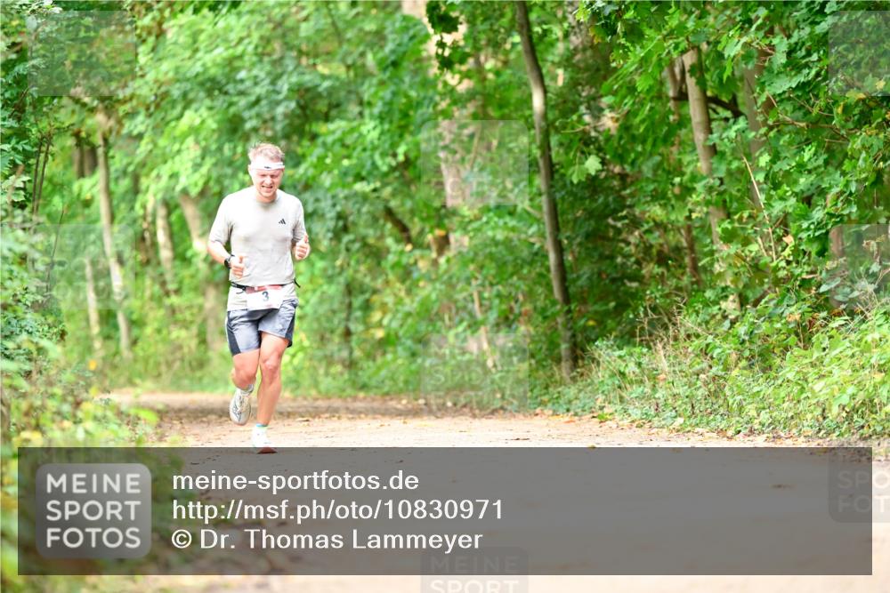 11.10.2026 - Bramfelder Halbmarathon 2026 Dr. Thomas Lammeyer http://msf.ph/oto/10830971 11.10.2026 11:14:46 Laufen  meine-sportfotos.de