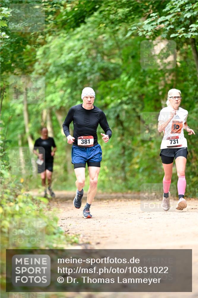 11.10.2026 - Bramfelder Halbmarathon 2026 Dr. Thomas Lammeyer http://msf.ph/oto/10831022 11.10.2026 11:15:10 Laufen 381, 14, 10, 731 meine-sportfotos.de