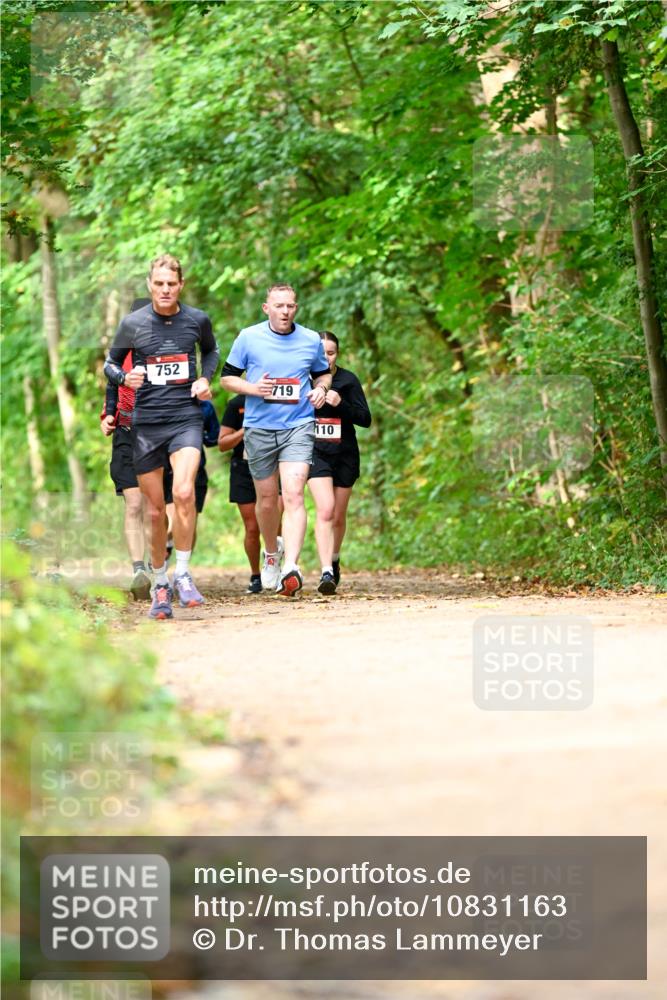 11.10.2026 - Bramfelder Halbmarathon 2026 Dr. Thomas Lammeyer http://msf.ph/oto/10831163 11.10.2026 11:15:36 Laufen 752, 719, 110 meine-sportfotos.de