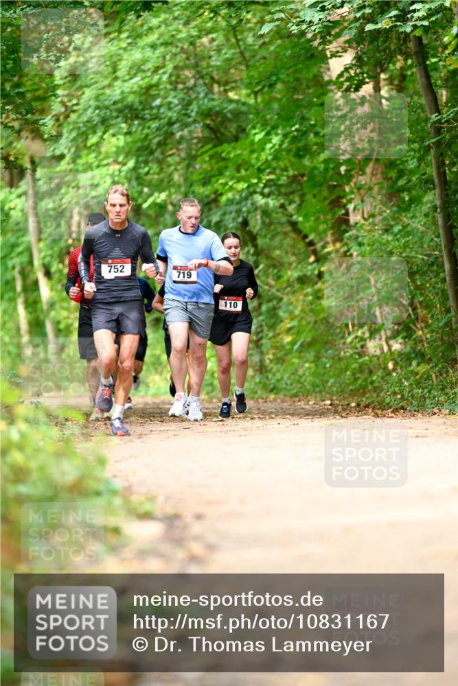 11.10.2026 - Bramfelder Halbmarathon 2026 Dr. Thomas Lammeyer http://msf.ph/oto/10831167 11.10.2026 11:15:36 Laufen 752, 719, 110 meine-sportfotos.de