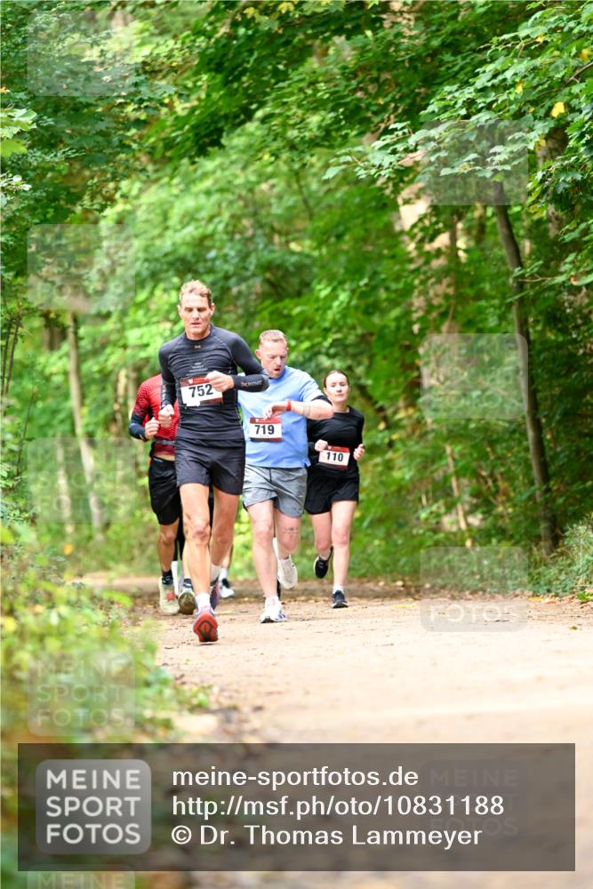 11.10.2026 - Bramfelder Halbmarathon 2026 Dr. Thomas Lammeyer http://msf.ph/oto/10831188 11.10.2026 11:15:38 Laufen 752, 719, 110 meine-sportfotos.de