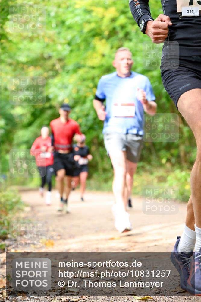11.10.2026 - Bramfelder Halbmarathon 2026 Dr. Thomas Lammeyer http://msf.ph/oto/10831257 11.10.2026 11:15:43 Laufen 316 meine-sportfotos.de