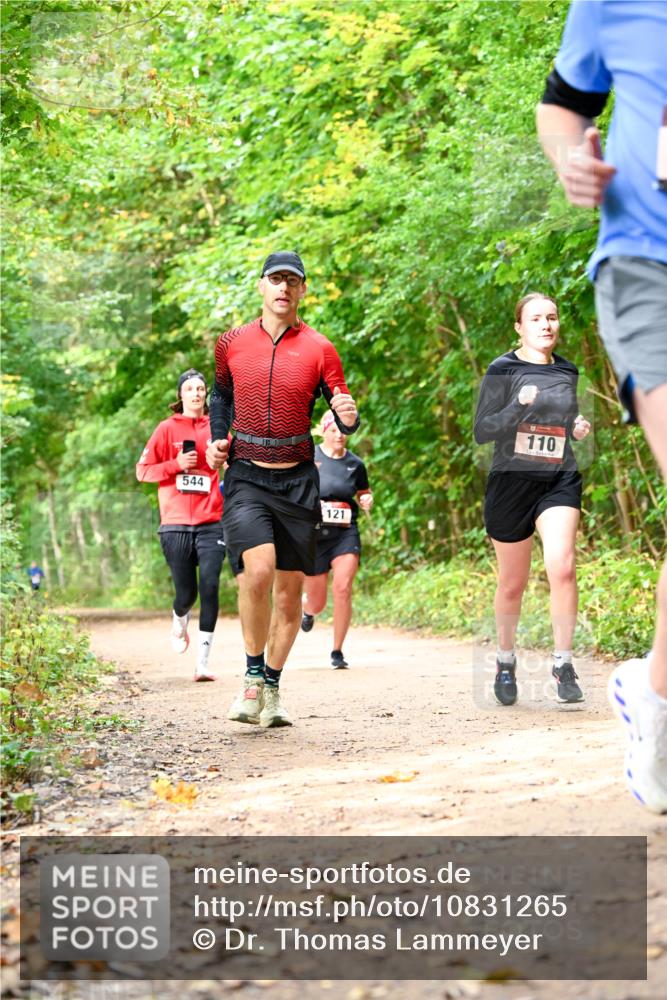 11.10.2026 - Bramfelder Halbmarathon 2026 Dr. Thomas Lammeyer http://msf.ph/oto/10831265 11.10.2026 11:15:44 Laufen 544, 121, 110 meine-sportfotos.de