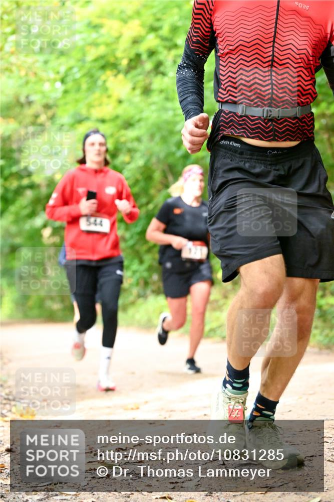 11.10.2026 - Bramfelder Halbmarathon 2026 Dr. Thomas Lammeyer http://msf.ph/oto/10831285 11.10.2026 11:15:46 Laufen 544 meine-sportfotos.de