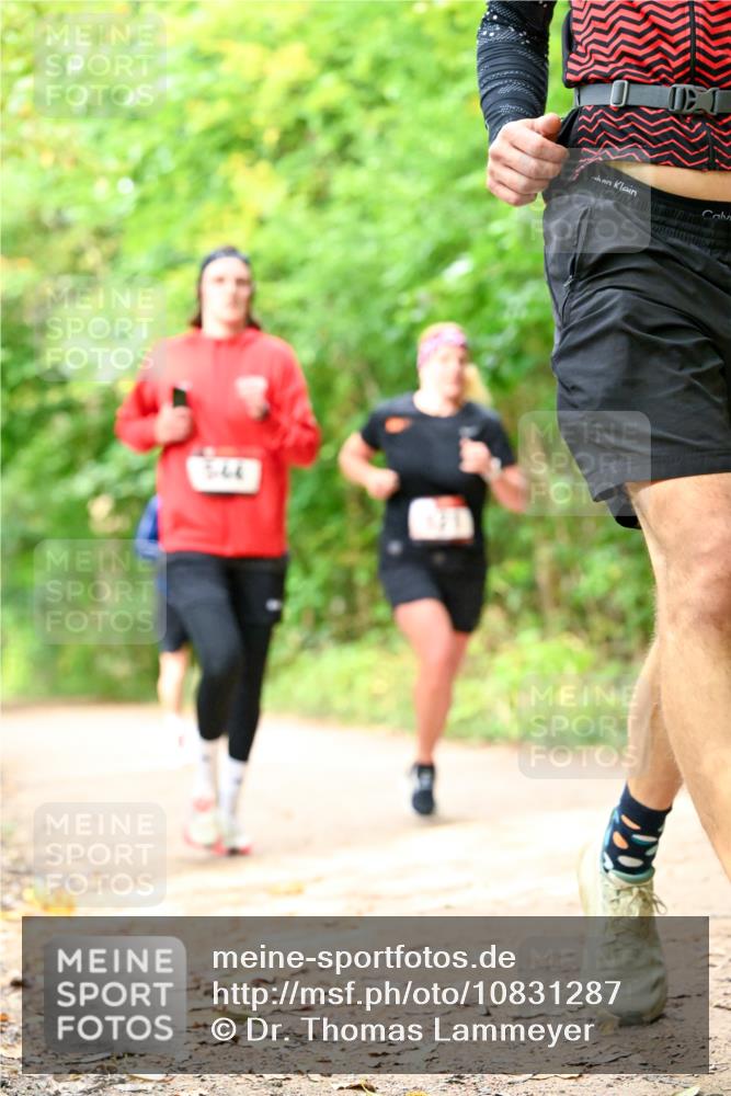 11.10.2026 - Bramfelder Halbmarathon 2026 Dr. Thomas Lammeyer http://msf.ph/oto/10831287 11.10.2026 11:15:46 Laufen  meine-sportfotos.de