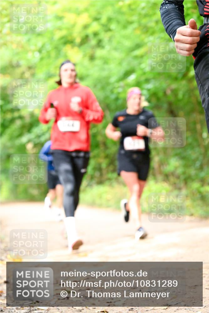 11.10.2026 - Bramfelder Halbmarathon 2026 Dr. Thomas Lammeyer http://msf.ph/oto/10831289 11.10.2026 11:15:46 Laufen  meine-sportfotos.de