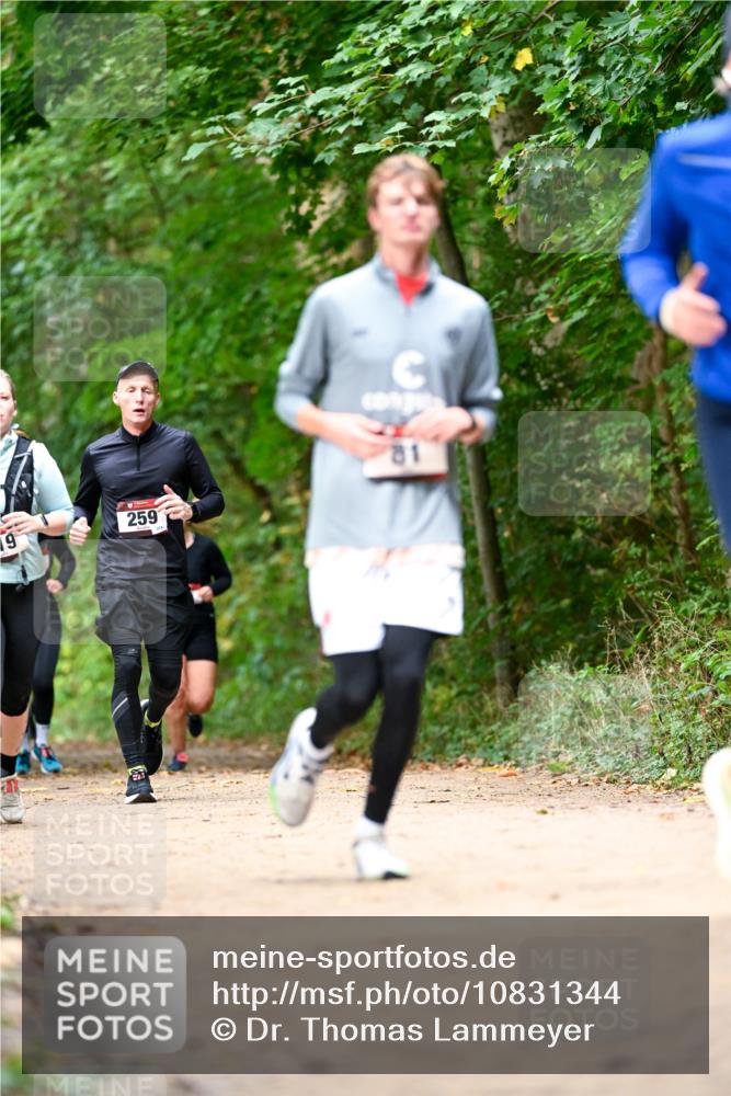 11.10.2026 - Bramfelder Halbmarathon 2026 Dr. Thomas Lammeyer http://msf.ph/oto/10831344 11.10.2026 11:16:03 Laufen 19, 259, 81 meine-sportfotos.de