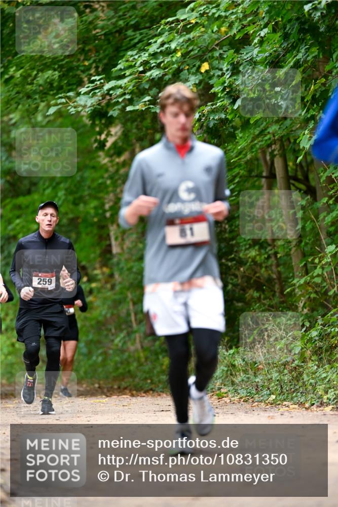 11.10.2026 - Bramfelder Halbmarathon 2026 Dr. Thomas Lammeyer http://msf.ph/oto/10831350 11.10.2026 11:16:04 Laufen 259 meine-sportfotos.de