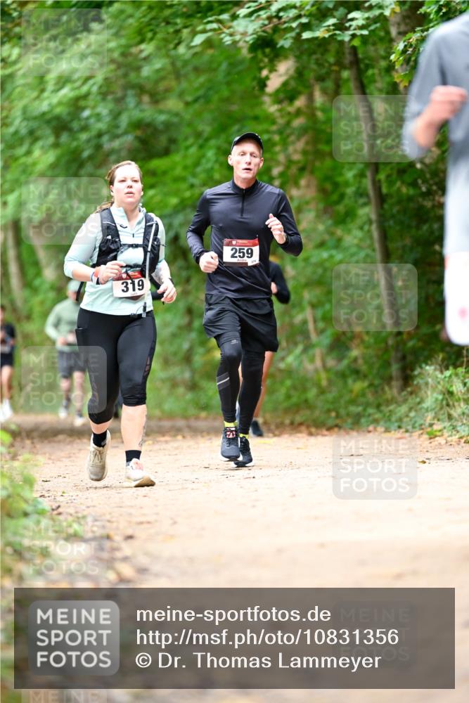 11.10.2026 - Bramfelder Halbmarathon 2026 Dr. Thomas Lammeyer http://msf.ph/oto/10831356 11.10.2026 11:16:04 Laufen 319, 259, 274 meine-sportfotos.de