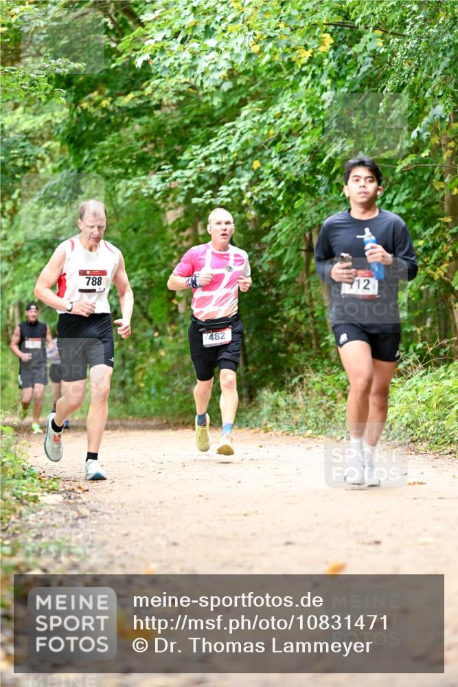 11.10.2026 - Bramfelder Halbmarathon 2026 Dr. Thomas Lammeyer http://msf.ph/oto/10831471 11.10.2026 11:16:19 Laufen 788, 482, 12 meine-sportfotos.de