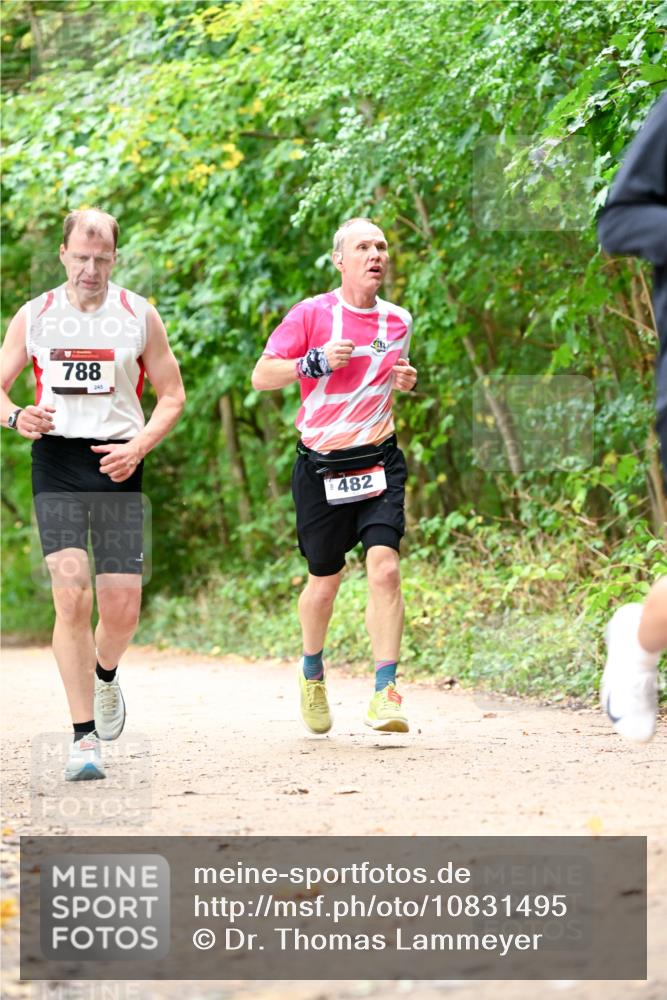 11.10.2026 - Bramfelder Halbmarathon 2026 Dr. Thomas Lammeyer http://msf.ph/oto/10831495 11.10.2026 11:16:21 Laufen 788, 245, 482 meine-sportfotos.de