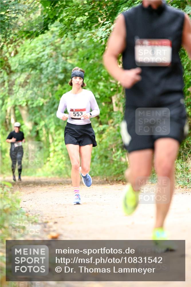 11.10.2026 - Bramfelder Halbmarathon 2026 Dr. Thomas Lammeyer http://msf.ph/oto/10831542 11.10.2026 11:16:26 Laufen 553 meine-sportfotos.de