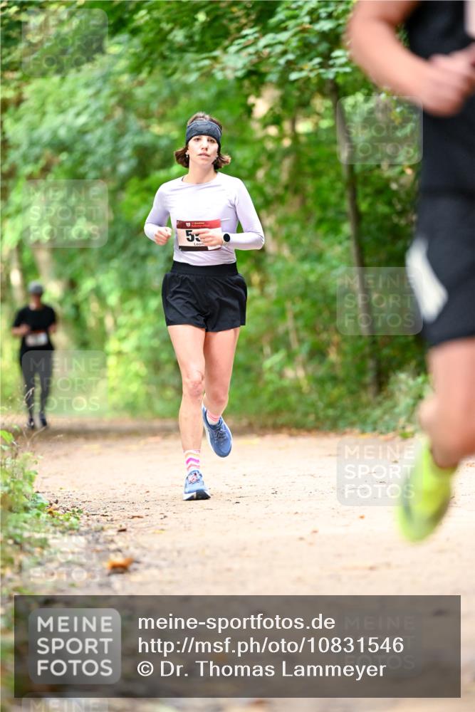11.10.2026 - Bramfelder Halbmarathon 2026 Dr. Thomas Lammeyer http://msf.ph/oto/10831546 11.10.2026 11:16:27 Laufen 53 meine-sportfotos.de