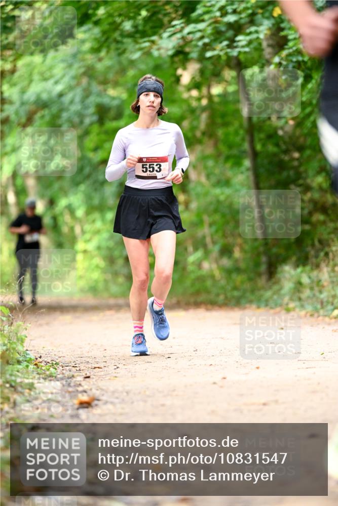 11.10.2026 - Bramfelder Halbmarathon 2026 Dr. Thomas Lammeyer http://msf.ph/oto/10831547 11.10.2026 11:16:27 Laufen 553 meine-sportfotos.de