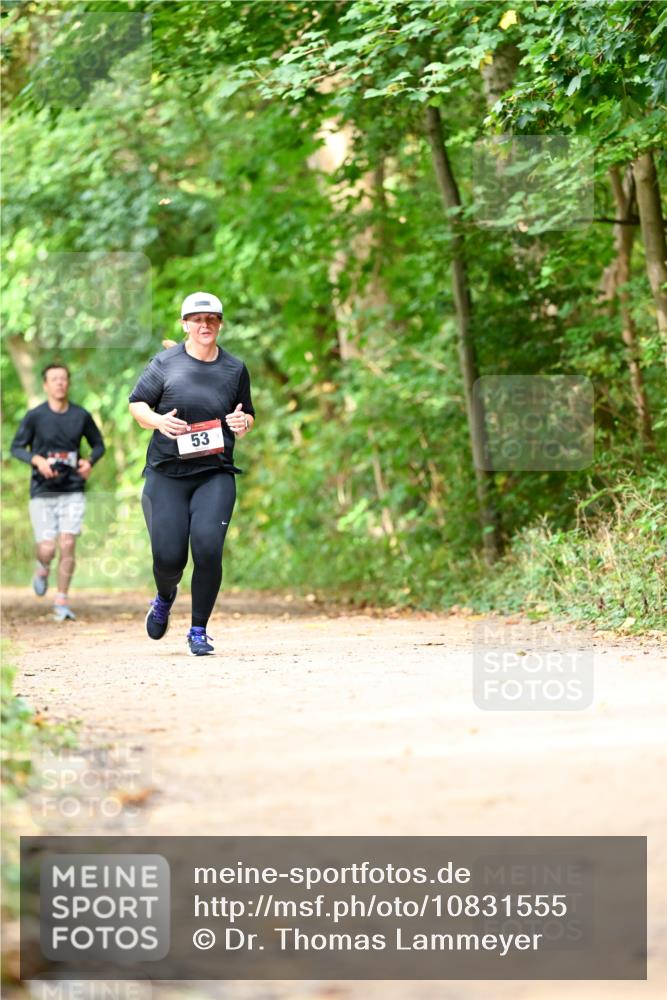 11.10.2026 - Bramfelder Halbmarathon 2026 Dr. Thomas Lammeyer http://msf.ph/oto/10831555 11.10.2026 11:16:34 Laufen 53 meine-sportfotos.de
