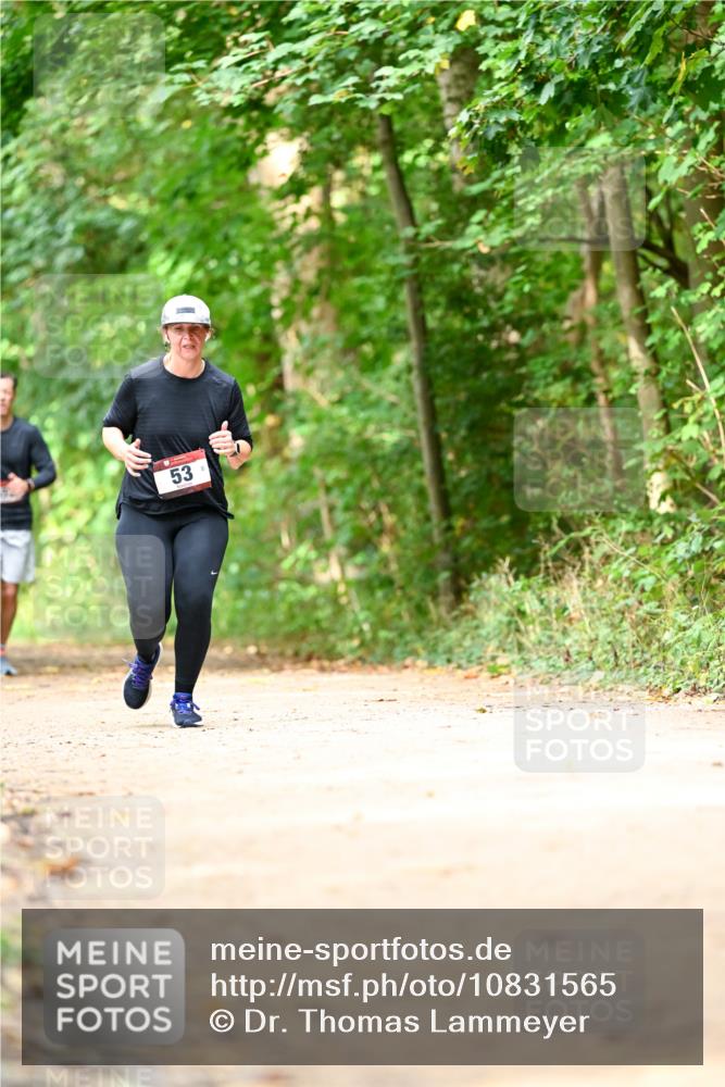 11.10.2026 - Bramfelder Halbmarathon 2026 Dr. Thomas Lammeyer http://msf.ph/oto/10831565 11.10.2026 11:16:35 Laufen 53 meine-sportfotos.de