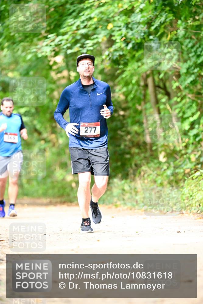 11.10.2026 - Bramfelder Halbmarathon 2026 Dr. Thomas Lammeyer http://msf.ph/oto/10831618 11.10.2026 11:16:43 Laufen 369, 277 meine-sportfotos.de