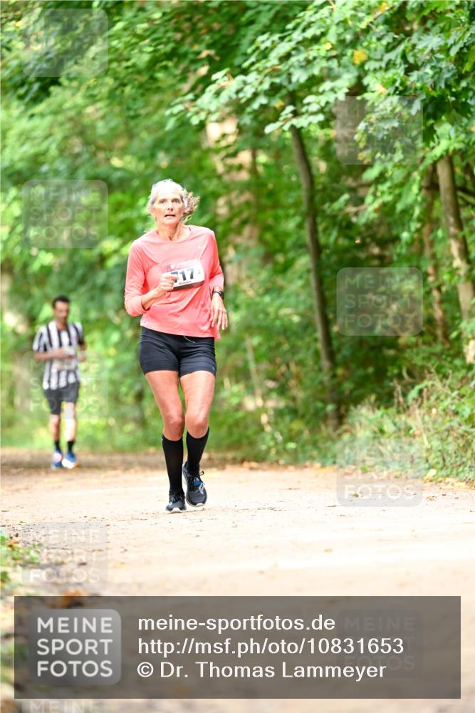 11.10.2026 - Bramfelder Halbmarathon 2026 Dr. Thomas Lammeyer http://msf.ph/oto/10831653 11.10.2026 11:16:50 Laufen  meine-sportfotos.de