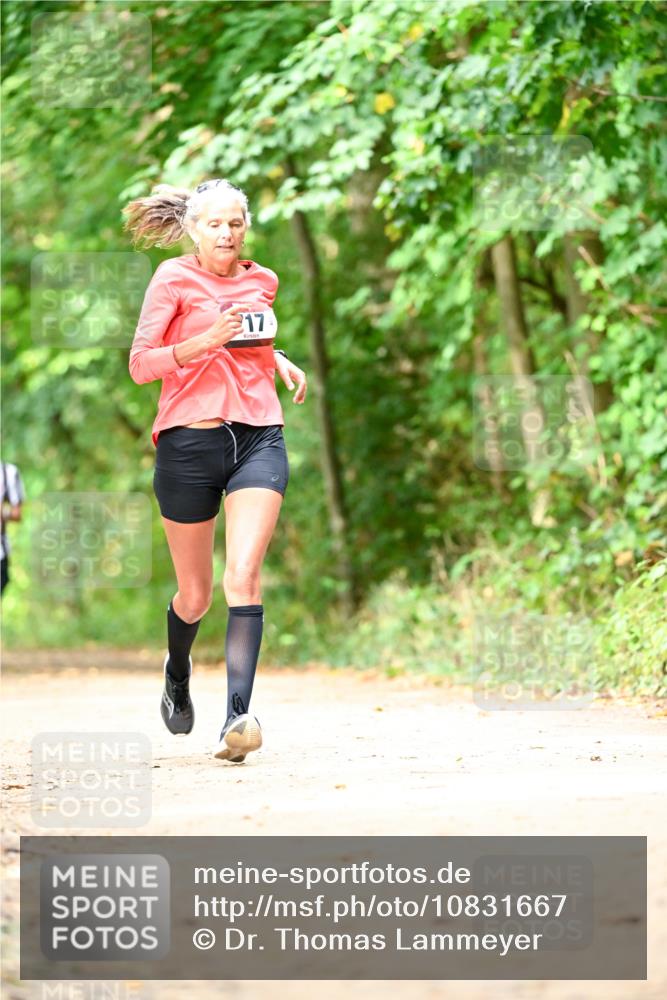 11.10.2026 - Bramfelder Halbmarathon 2026 Dr. Thomas Lammeyer http://msf.ph/oto/10831667 11.10.2026 11:16:51 Laufen 17 meine-sportfotos.de