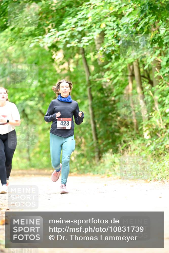 11.10.2026 - Bramfelder Halbmarathon 2026 Dr. Thomas Lammeyer http://msf.ph/oto/10831739 11.10.2026 11:17:09 Laufen 423 meine-sportfotos.de