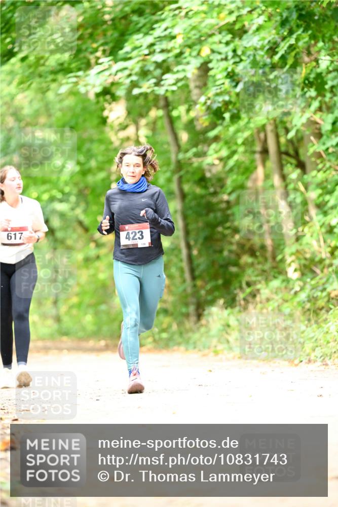 11.10.2026 - Bramfelder Halbmarathon 2026 Dr. Thomas Lammeyer http://msf.ph/oto/10831743 11.10.2026 11:17:09 Laufen 617, 423, 139 meine-sportfotos.de
