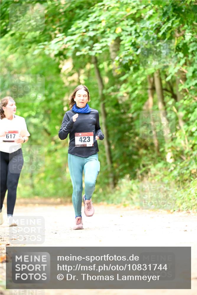 11.10.2026 - Bramfelder Halbmarathon 2026 Dr. Thomas Lammeyer http://msf.ph/oto/10831744 11.10.2026 11:17:09 Laufen 617, 423, 139 meine-sportfotos.de
