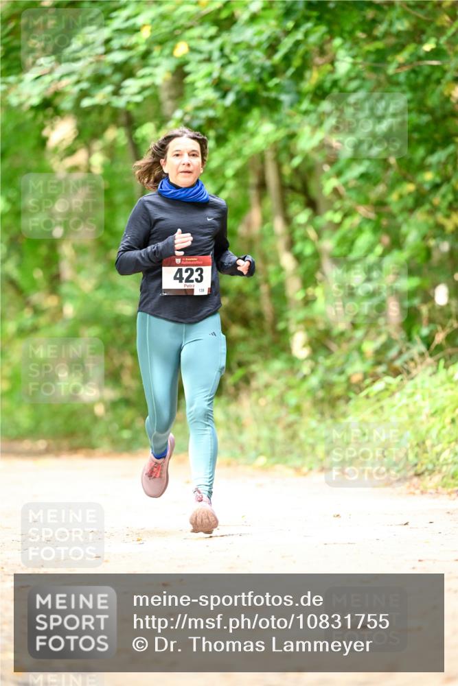 11.10.2026 - Bramfelder Halbmarathon 2026 Dr. Thomas Lammeyer http://msf.ph/oto/10831755 11.10.2026 11:17:10 Laufen 35, 423, 139 meine-sportfotos.de