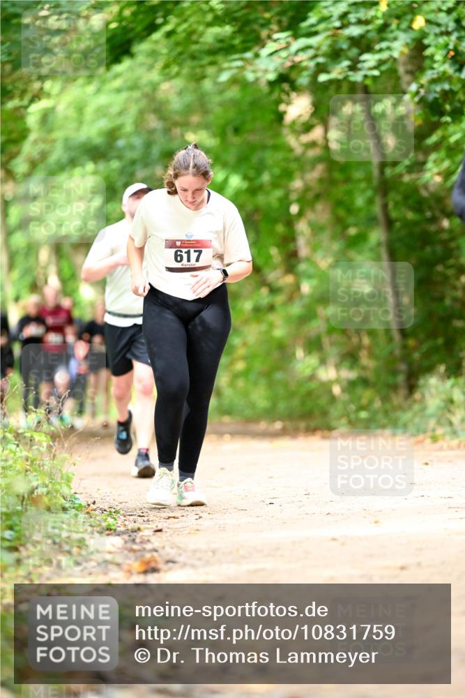 11.10.2026 - Bramfelder Halbmarathon 2026 Dr. Thomas Lammeyer http://msf.ph/oto/10831759 11.10.2026 11:17:11 Laufen 617 meine-sportfotos.de